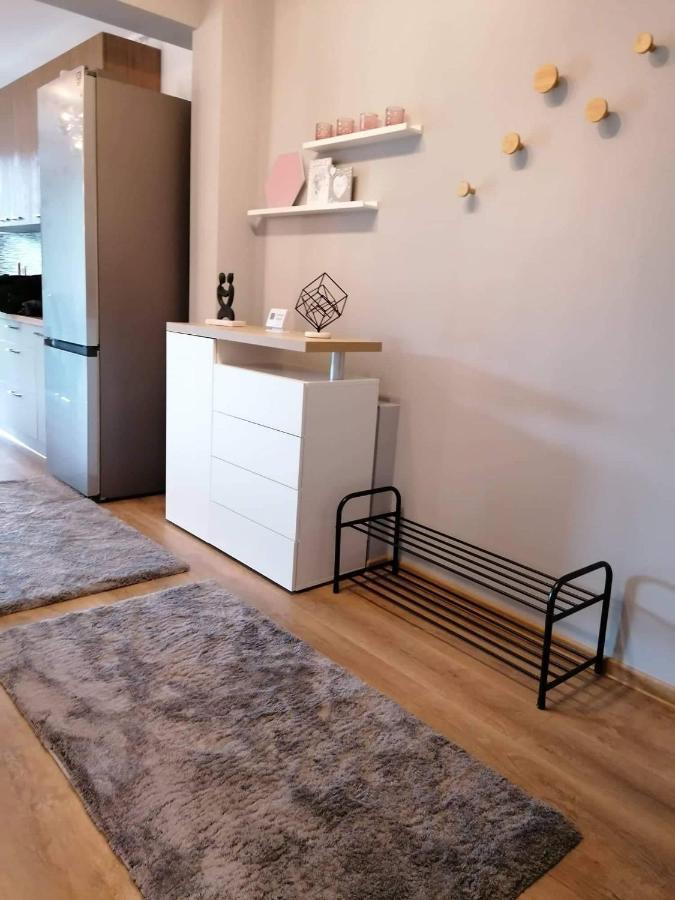 Apartament Luxury Miruna Διαμέρισμα Rîşnov Εξωτερικό φωτογραφία